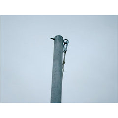 FT510P Tetherball Post