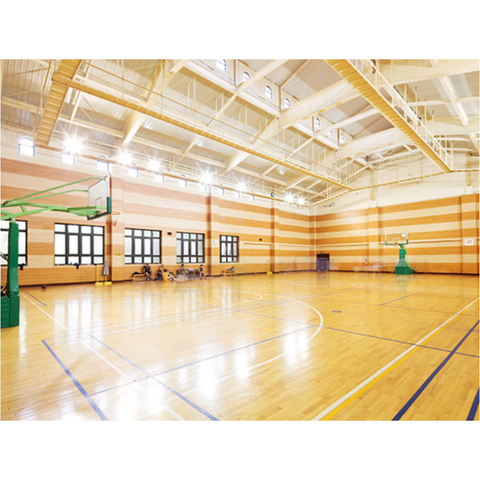 Indoor Courts